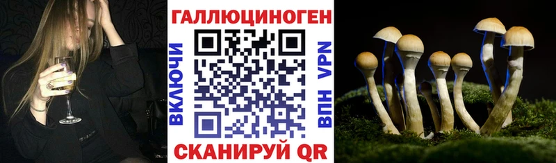 купить закладку  Конаково  Псилоцибиновые грибы Psilocybe 
