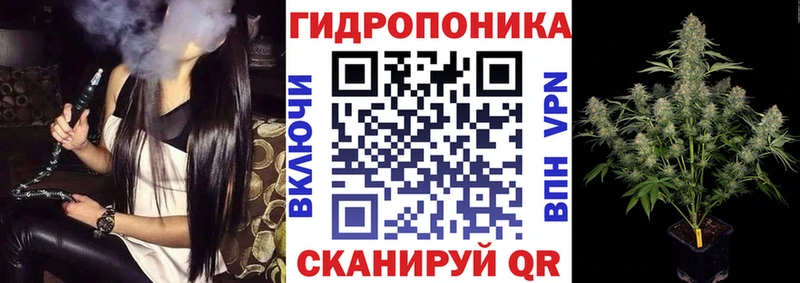Каннабис планчик  даркнет сайт  MEGA сайт  Конаково 